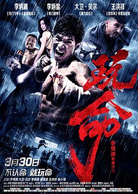 极北以北 封面图